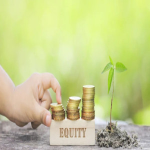 Equity Investment